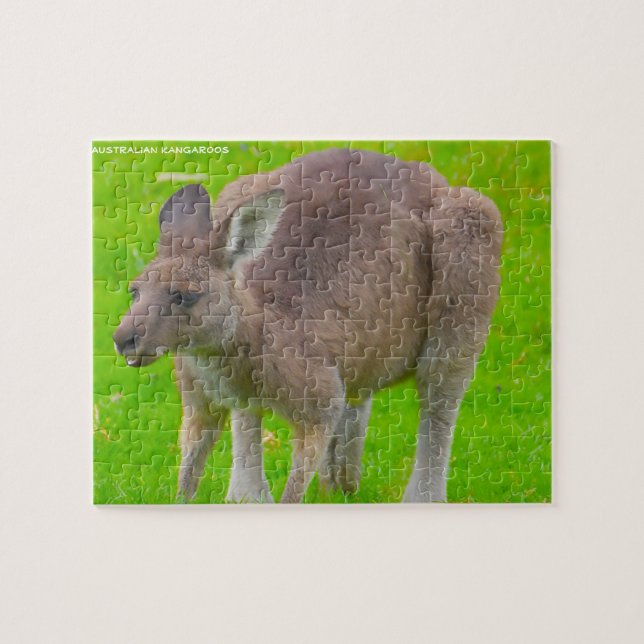 Australian Kangaroo Jigsaw Puzzle (Horizontal)