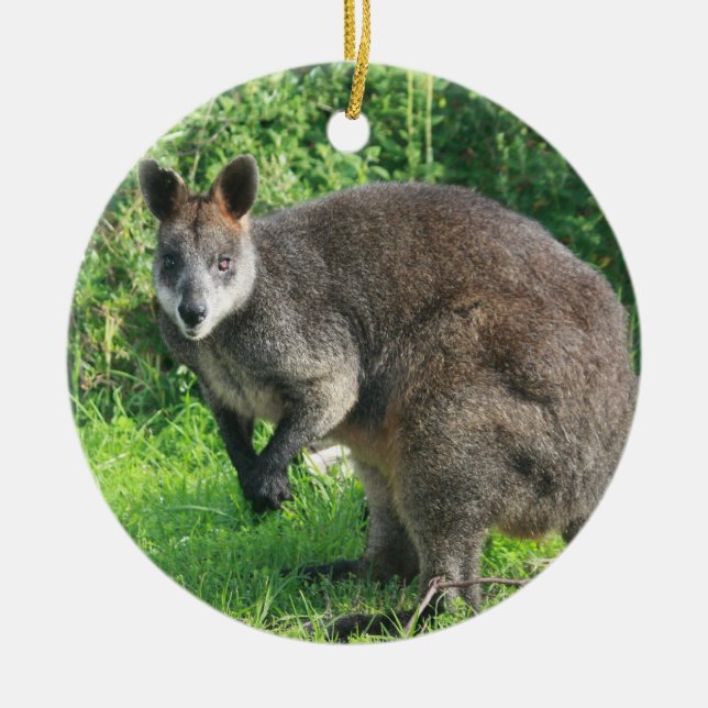 Australian Kangaroo Ornament (Front)