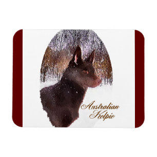 Australian Kelpe Art Magnet