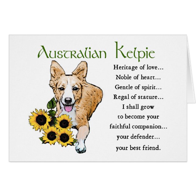Australian Kelpie Art Gifts (Front Horizontal)