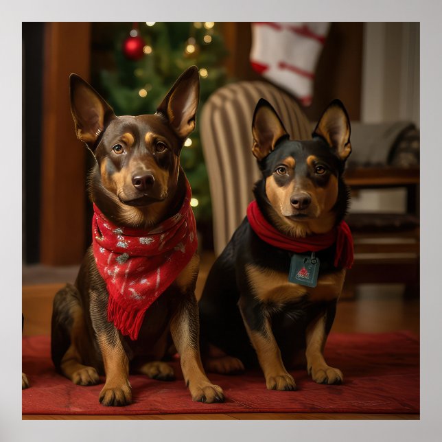 Australian Kelpie by the Fireplace Christmas Poster (Front)