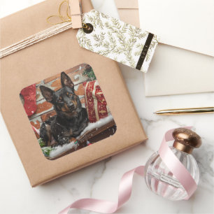 Australian Kelpie Dog Christmas Festive  Square Sticker