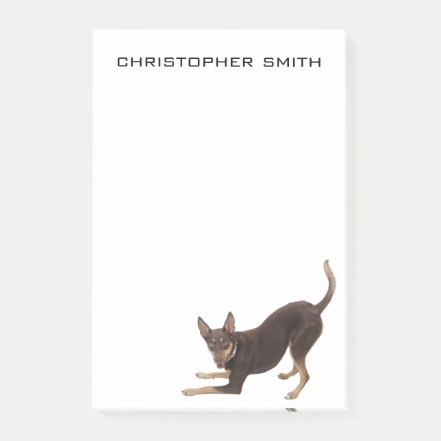 Australian Kelpie Dog Post-it Notes (Front)