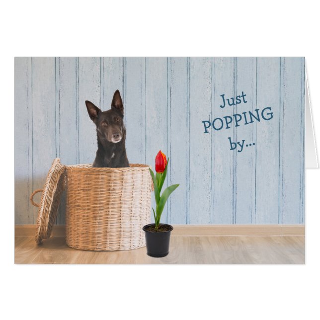 Australian Kelpie Dog Wicker Basket Birthday Card (Front Horizontal)