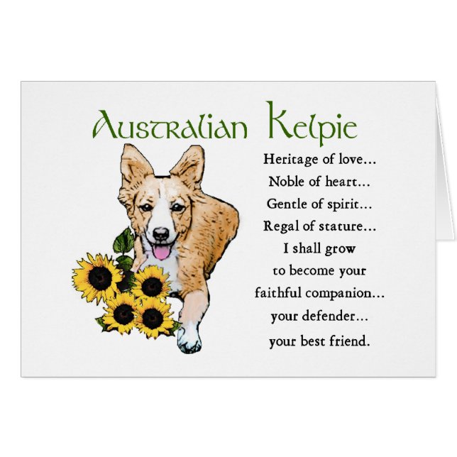 Australian Kelpie Gifts (Front Horizontal)