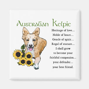 Australian Kelpie Gifts Magnet
