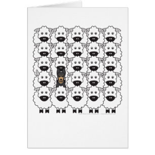 Australian Kelpie in the Sheep