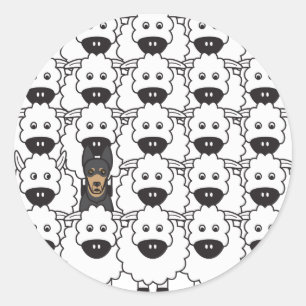 Australian Kelpie in the Sheep Classic Round Sticker