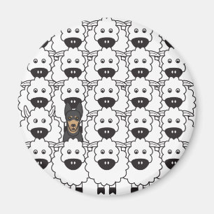 Australian Kelpie in the Sheep Magnet