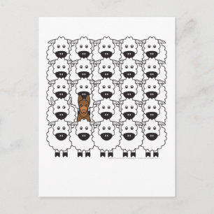 Australian Kelpie in the Sheep Postcard
