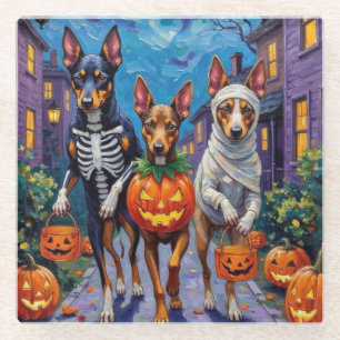 Australian Kelpie Trick-or-Treating Halloween Glass Coaster