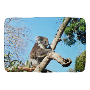 Australian Koala Bear In Old Pine Tree, Bath Mat