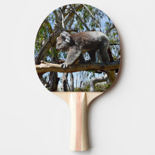 Australian Koala Bear Walking The Plank, Ping Pong Paddle