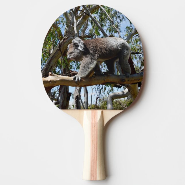 Australian Koala Bear Walking The Plank, Ping Pong Paddle (Front)