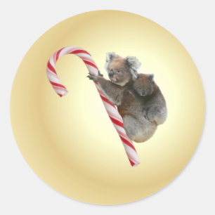 Australian Koala Christmas Candy Cane Classic Round Sticker