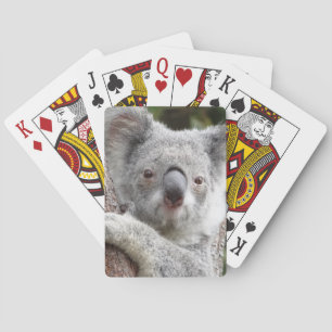 Australian Koala Playing Cards