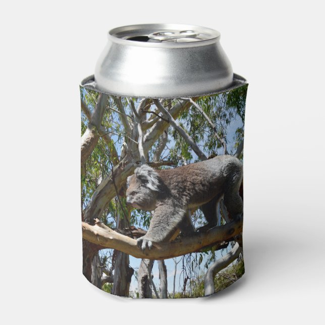 Australian Koala Walking Along Tree Branch, Can Cooler (Can Front)
