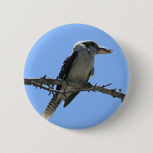 Australian Kookaburra 6 Cm Round Badge