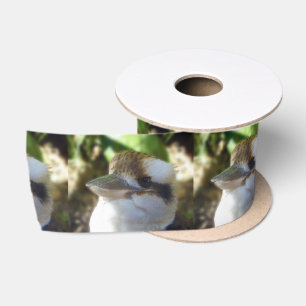 Australian Kookaburra Close Up, Satin Ribbon