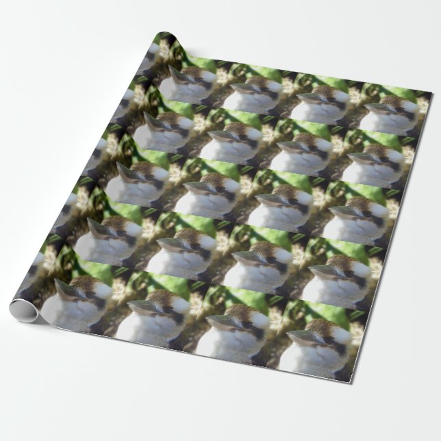 Australian Kookaburra Close Up,   Wrapping Paper (Unrolled)