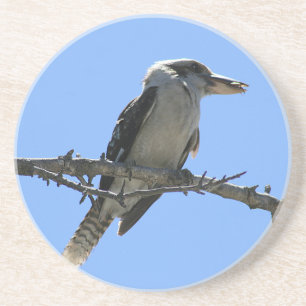 Australian Kookaburra Coaster