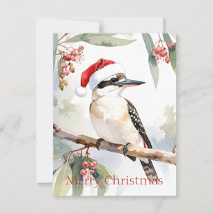 Australian Kookaburra Santa hat Merry Christmas Postcard