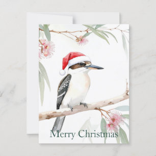Australian Kookaburra Santa hat Merry Christmas Postcard