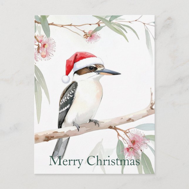 Australian Kookaburra Santa hat Merry Christmas Postcard (Front)