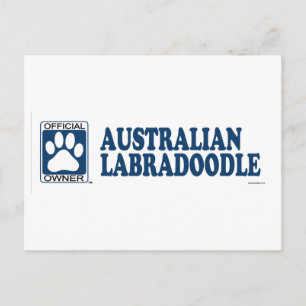 Australian Labradoodle Blue Postcard