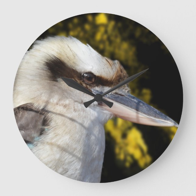Australian Laugh The Kookaburra,  Large Clock (Front)