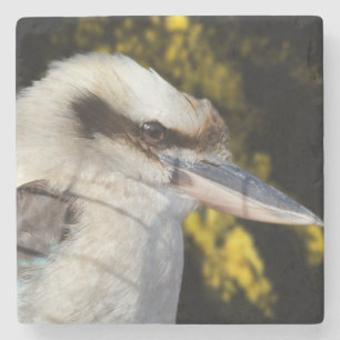 Australian Laughter The Kookaburra,   Stone Coaster