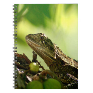 Australian lizard hiding between leaves, Photo Notebook