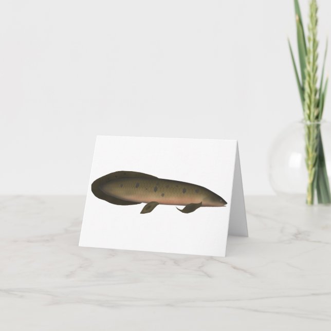 Australian Lungfish Note Card (Front)
