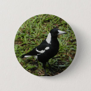 Australian Magpie button