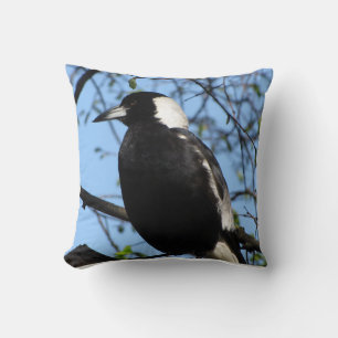 Australian Magpie Cushion