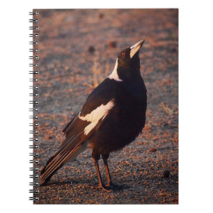 Australian Magpie notebook