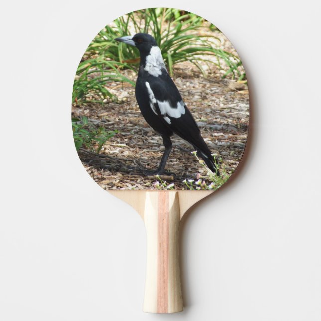 Australian Magpie Ping Pong Paddle (Front)