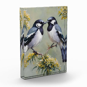 Australian Magpies In Wattle Trees Oil Paint,  Photo Block