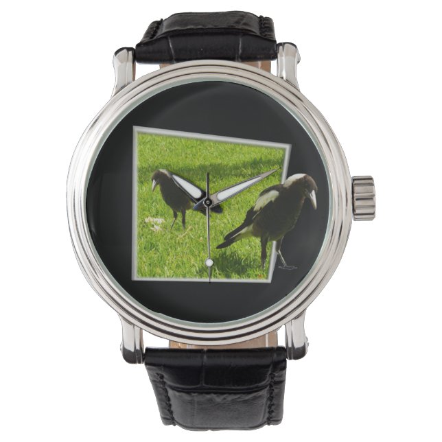Australian Magpies That Standout, Watch (Front)