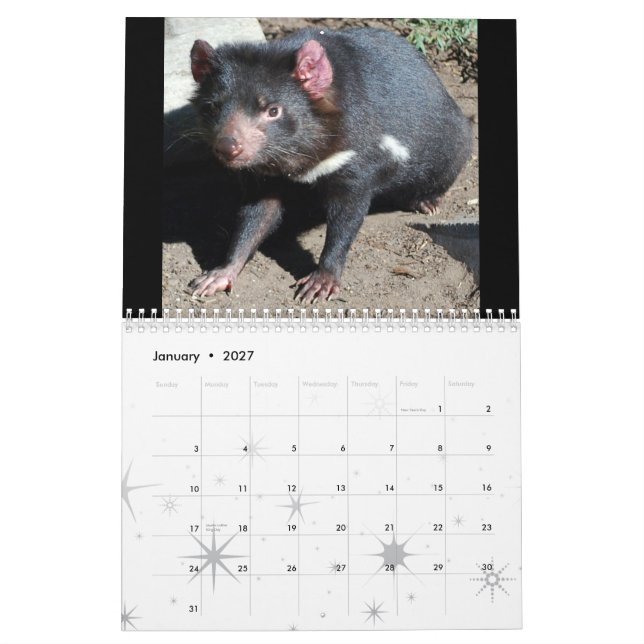 Australian Native Animals Calendar (Jan 2027)