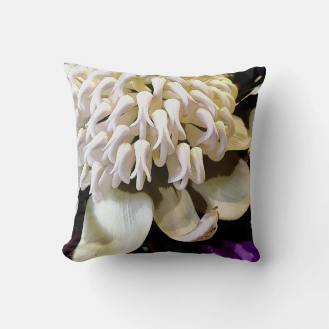 Australian native flower range no4. cushion (Front)