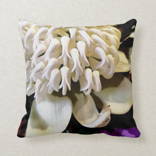 Australian native flower range no4. cushion