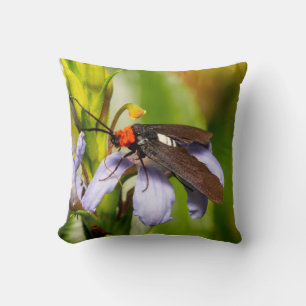 Australian Native Moth 1 Cushion