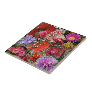 Australian Native Wild Flowers Ceramic Tile