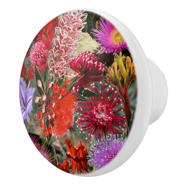 Australian Native Wild Flowers Round Ceramic Knob (Right)