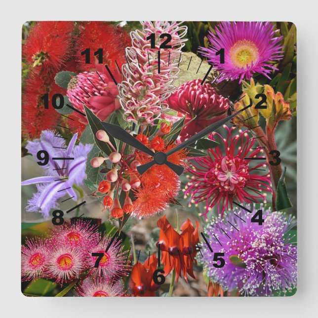 Australian Native Wild Flowers Square Wall Clock (Front)