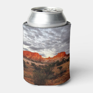 Australian outback can cooler