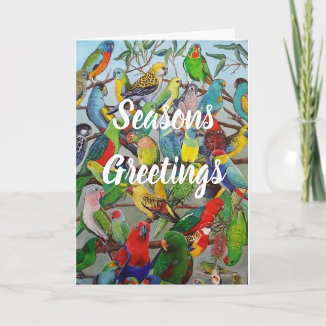 Australian Parakeets Christmas Card (Front)