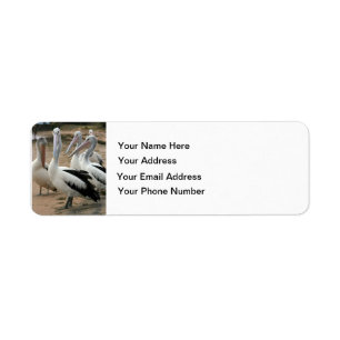 Australian Pelicans at Phillip Island Return Address Label