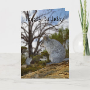 Australian Quokka Alert, Birthday Card, Card